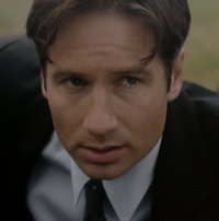 Mulder